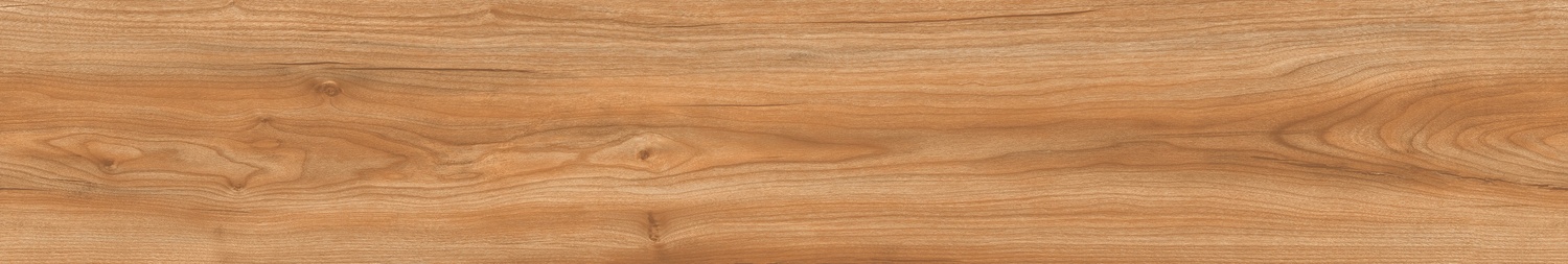 CHESTNUT AVELLANA - 5