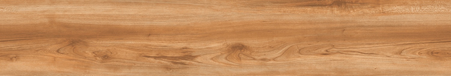 CHESTNUT AVELLANA - 4