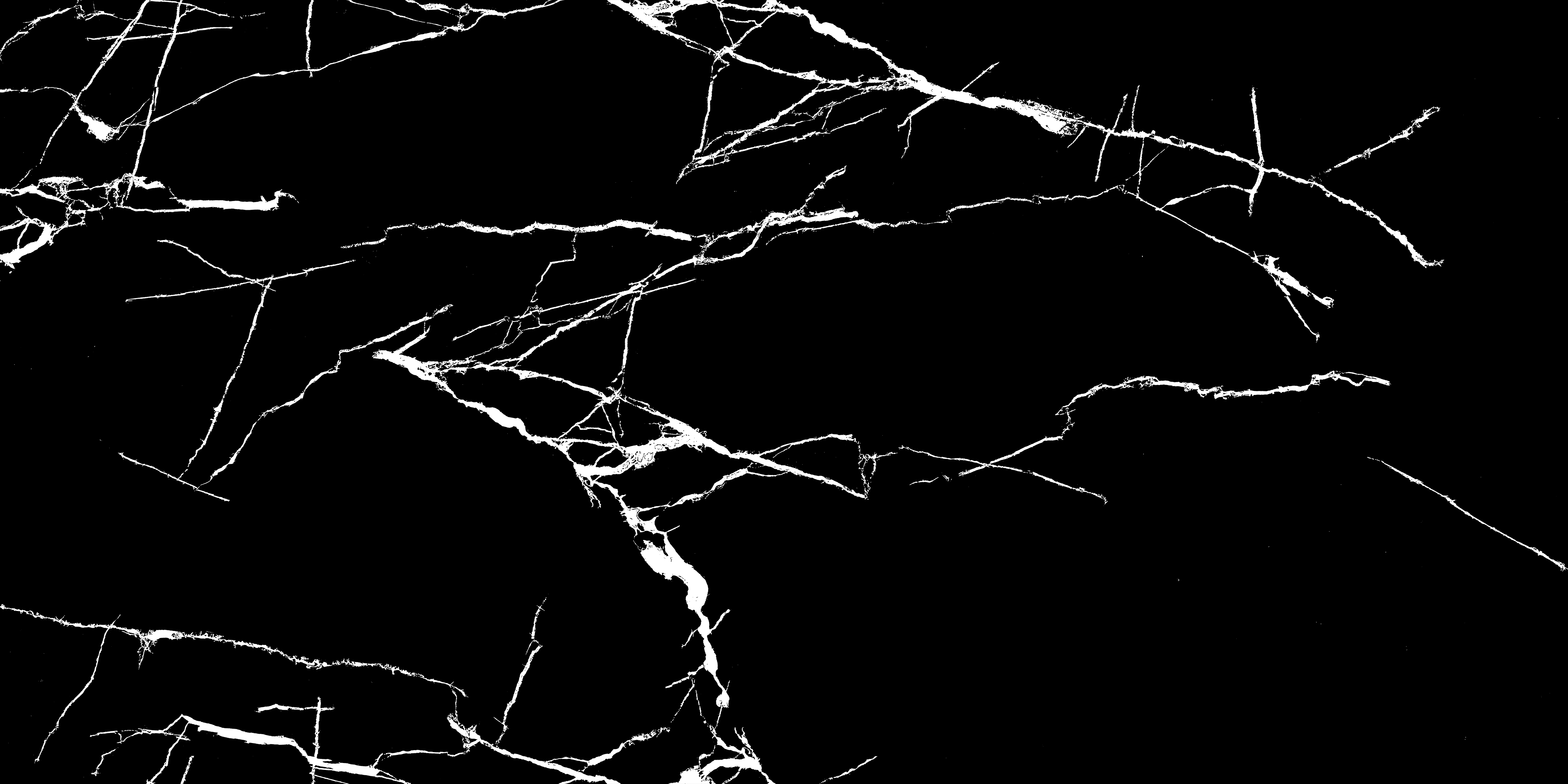 FRAGMETO LICHEN (E)-2
