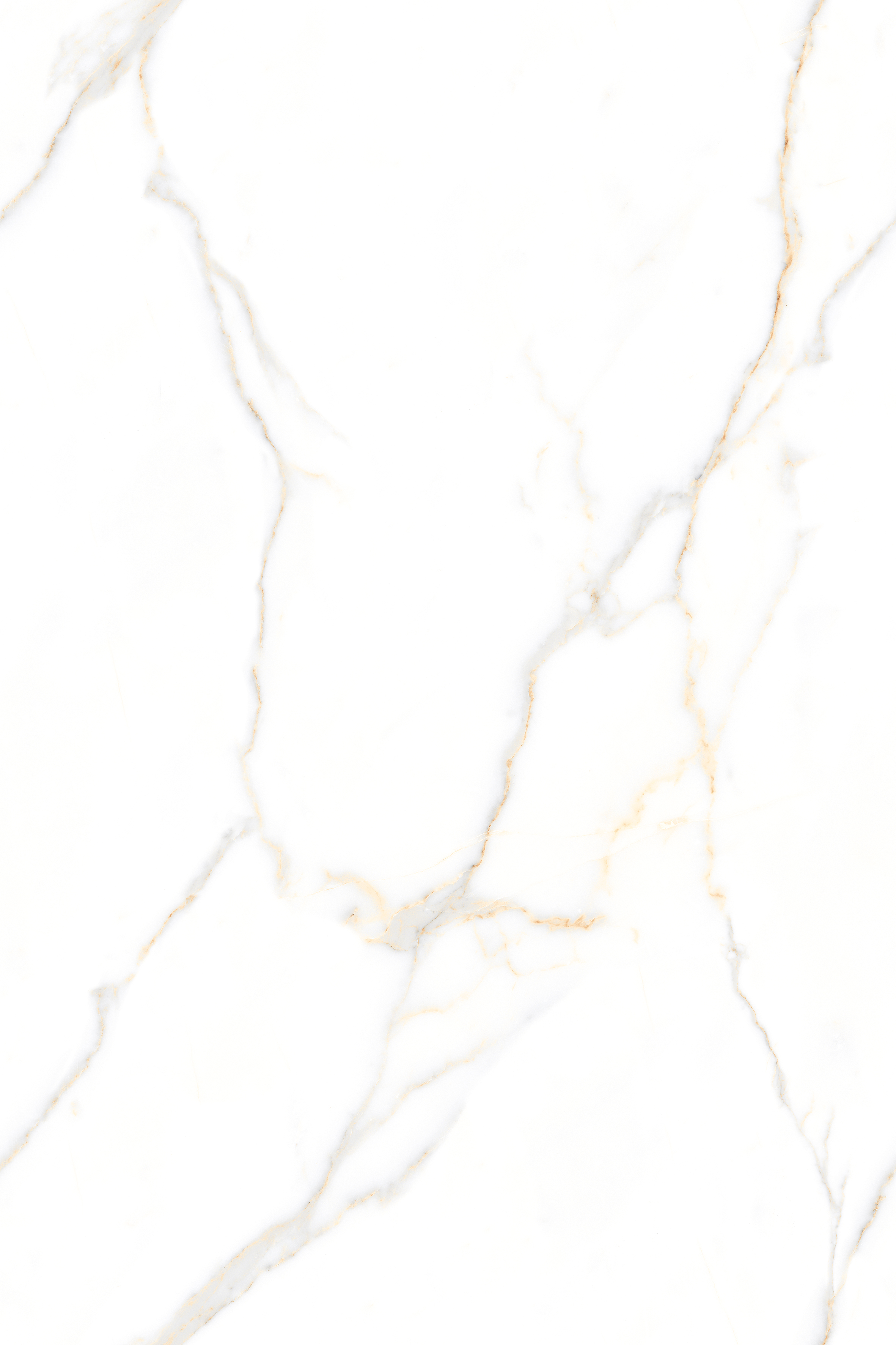 120180GL ALBORA WHITE