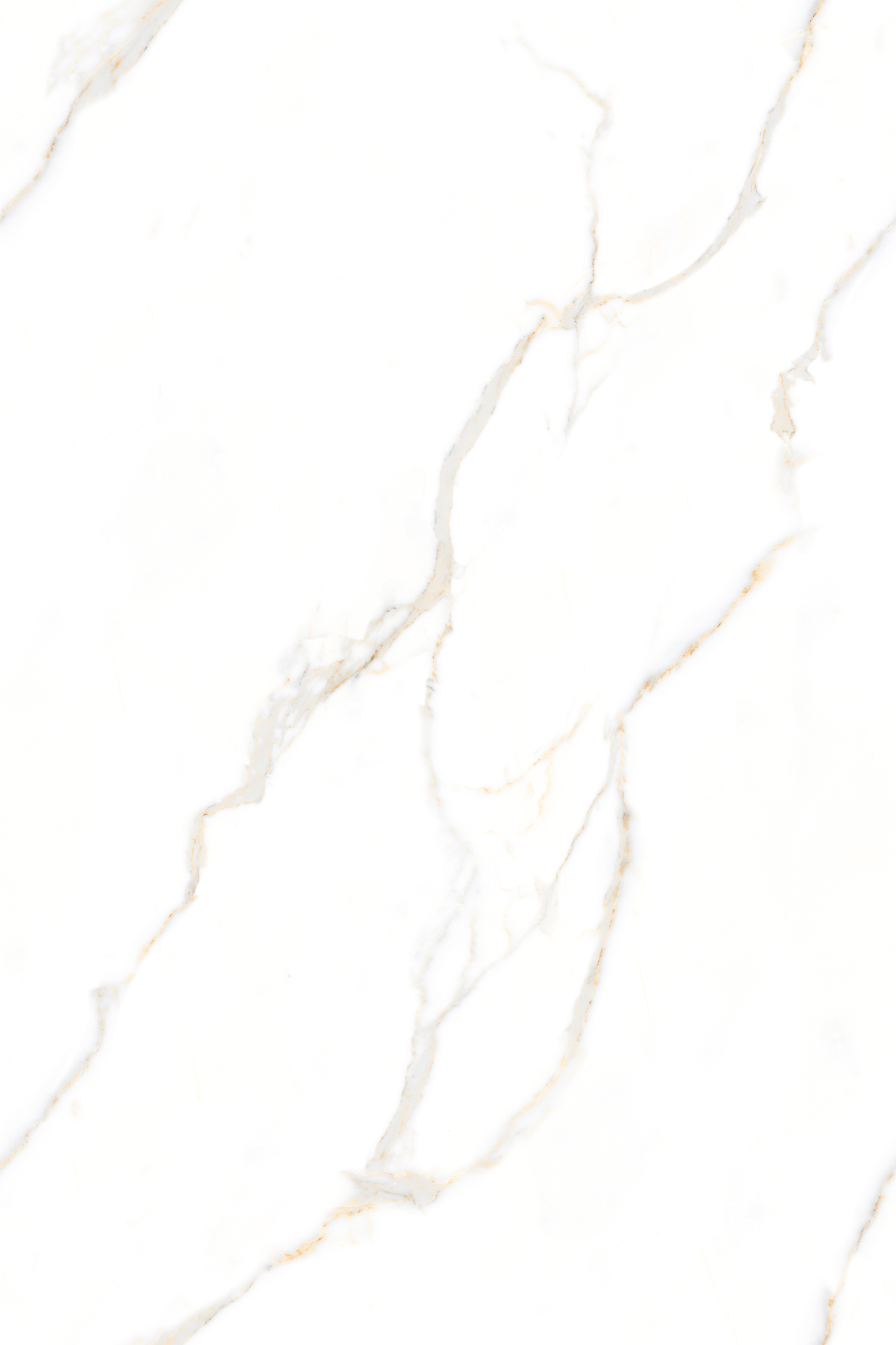120180GL ALBORA WHITE