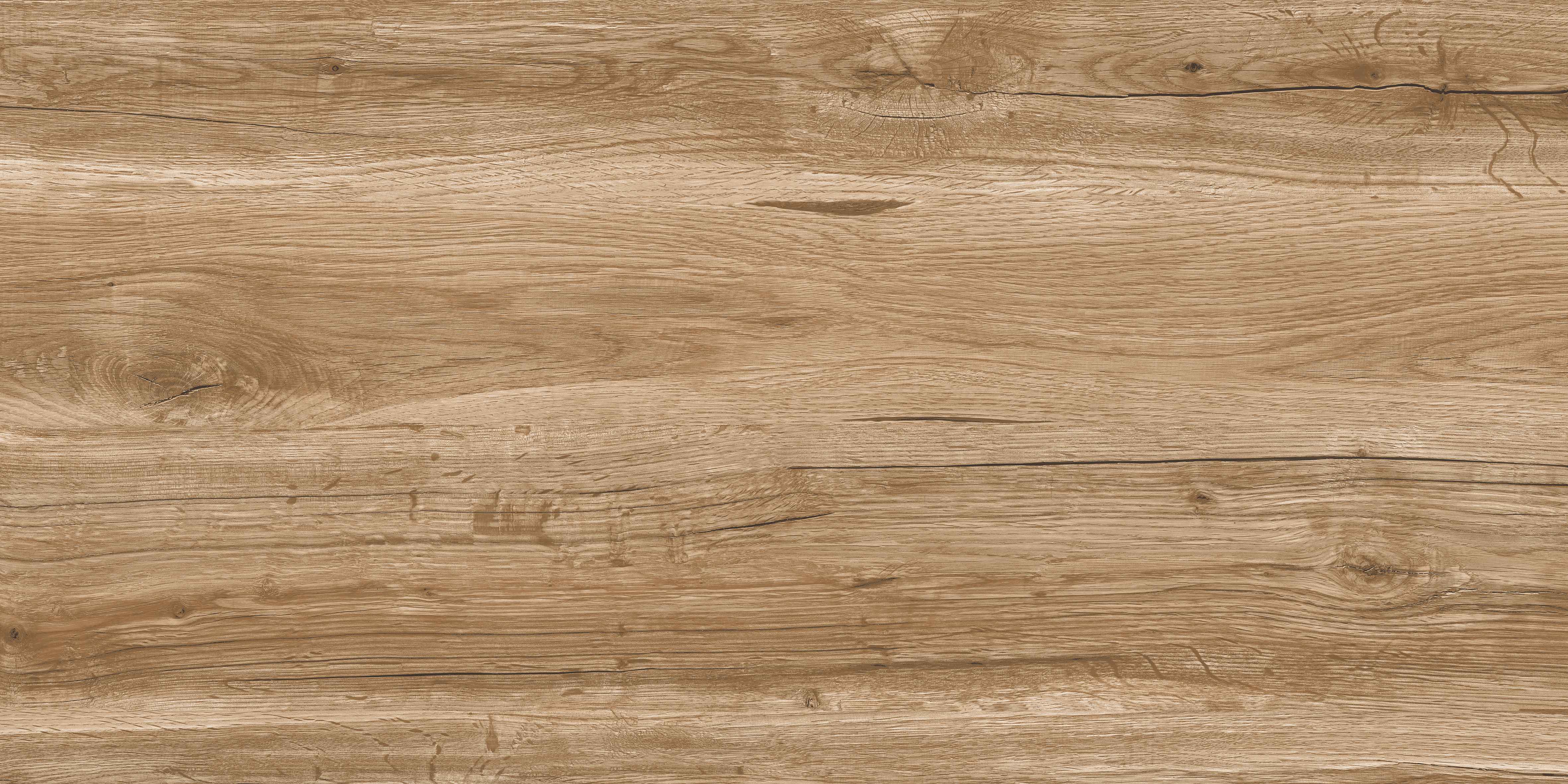 60120VN WONDER PINE