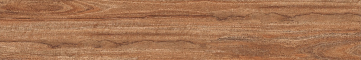 BURMA ALSTONIA NATURAL-3