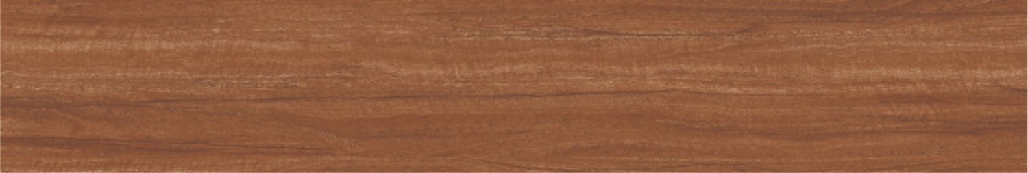 BURMA ALSTONIA MUSTARD-5