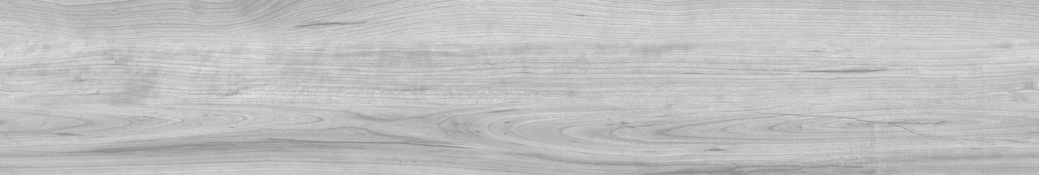  CHESTNUT BLAZA-3