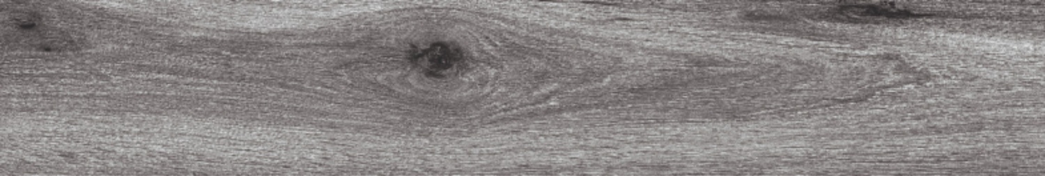 BURMA WALNUT TORTORA-2
