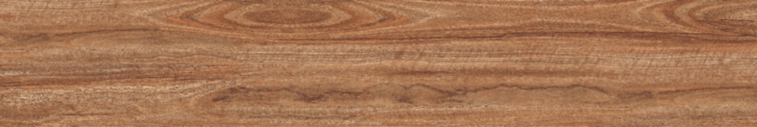 BURMA ALSTONIA NATURAL-5