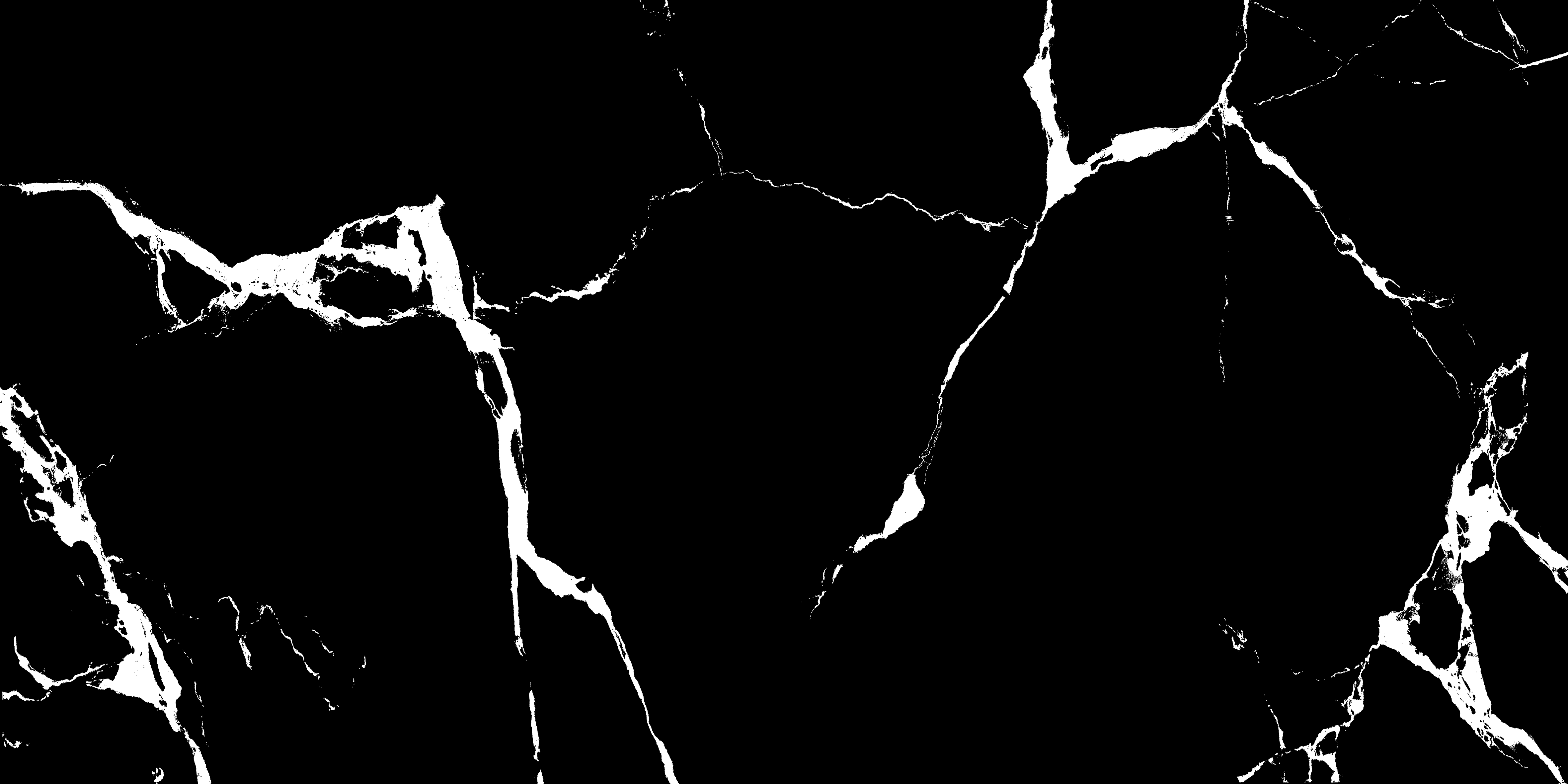 VIDA BLACK-10
