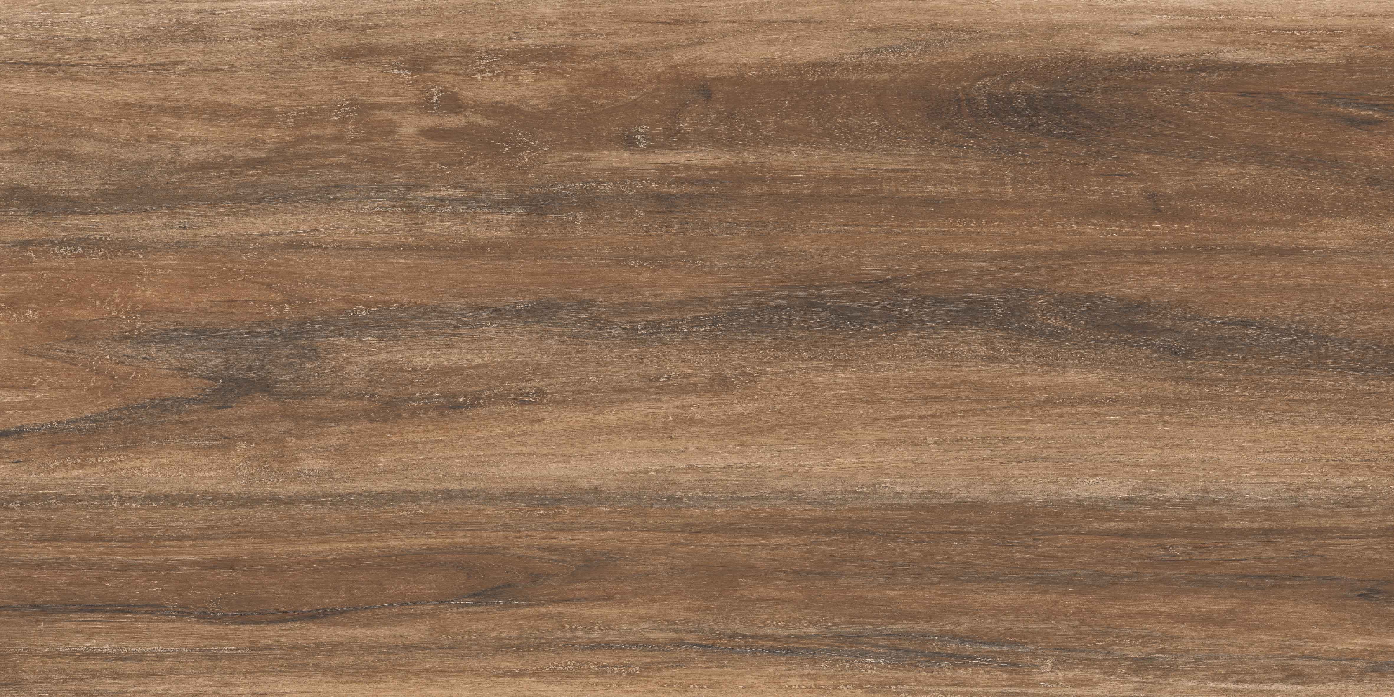 60120VN MOSS COFFEE