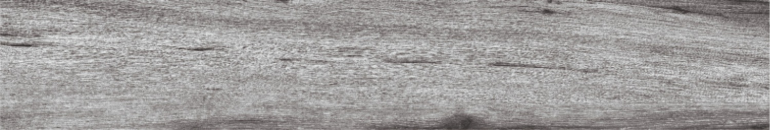 BURMA WALNUT TORTORA-5