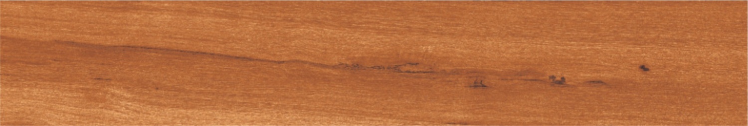 BURMA WALNUT ORANGE-3