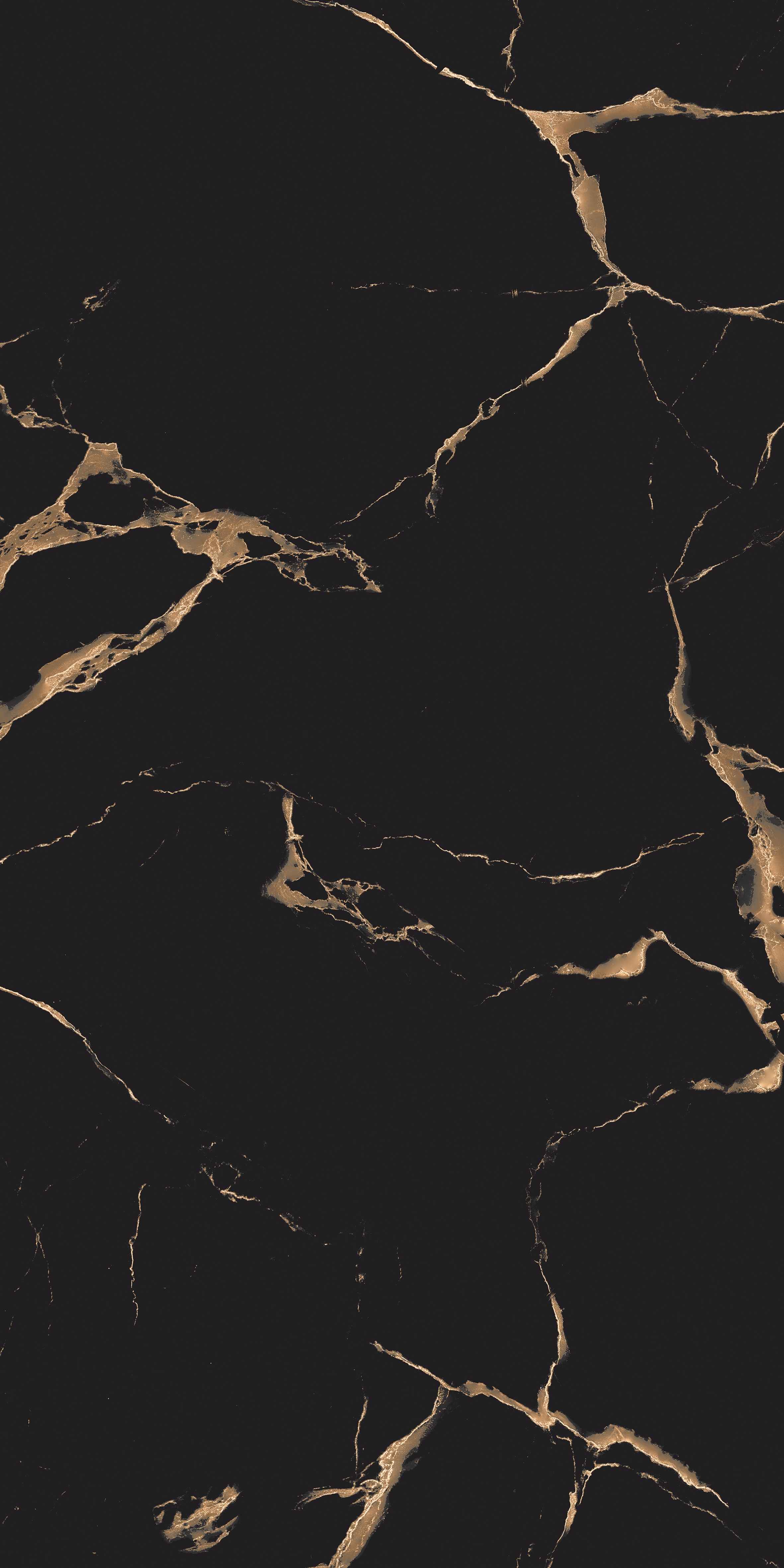 VIDA GOLD-5