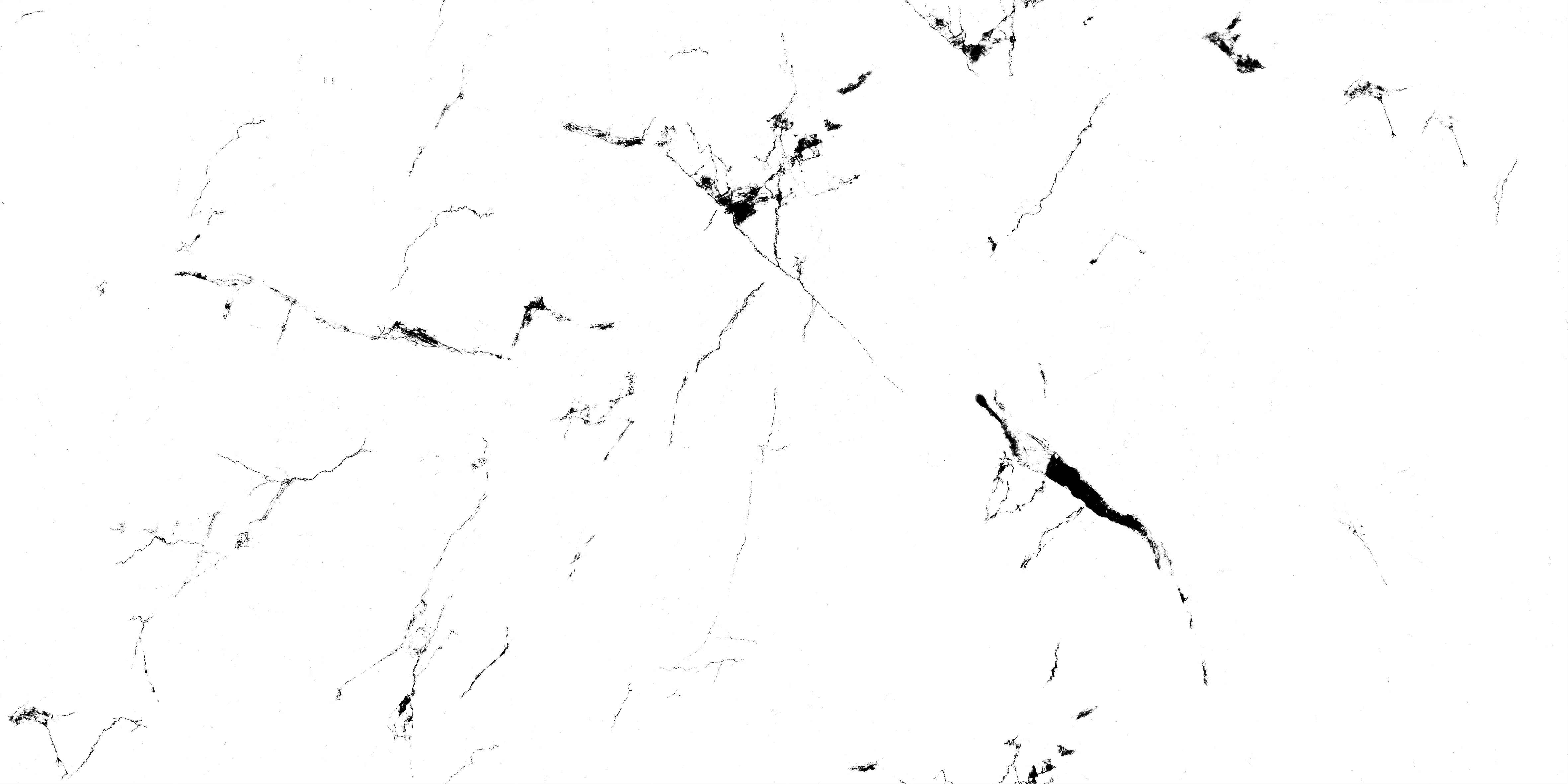 60120CL SYMPHONY CAMEL (END)