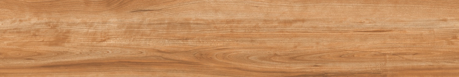 CHESTNUT AVELLANA - 3