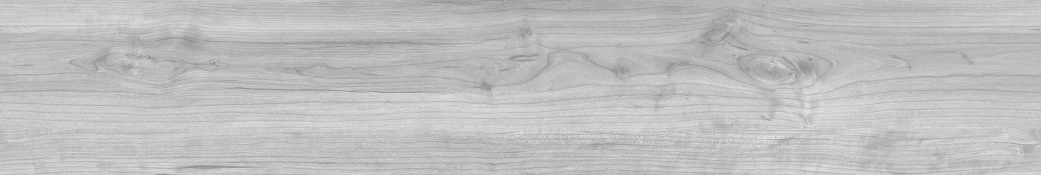  CHESTNUT BLAZA-6