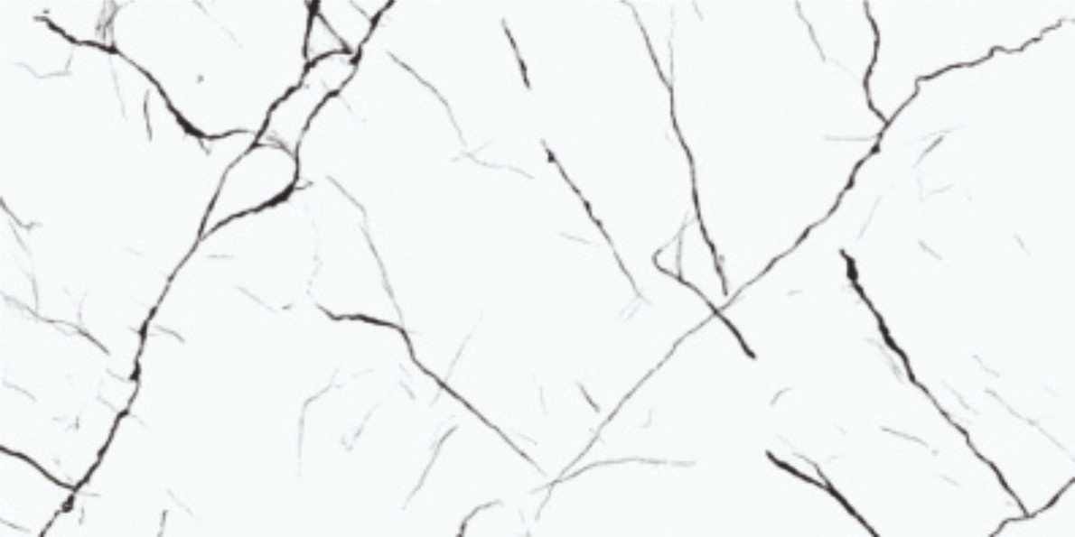 FRAGMETO DIA-2