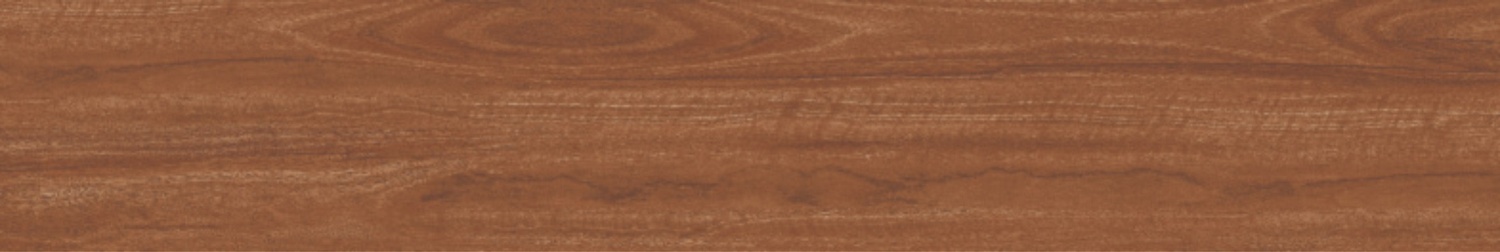 BURMA ALSTONIA MUSTARD-4