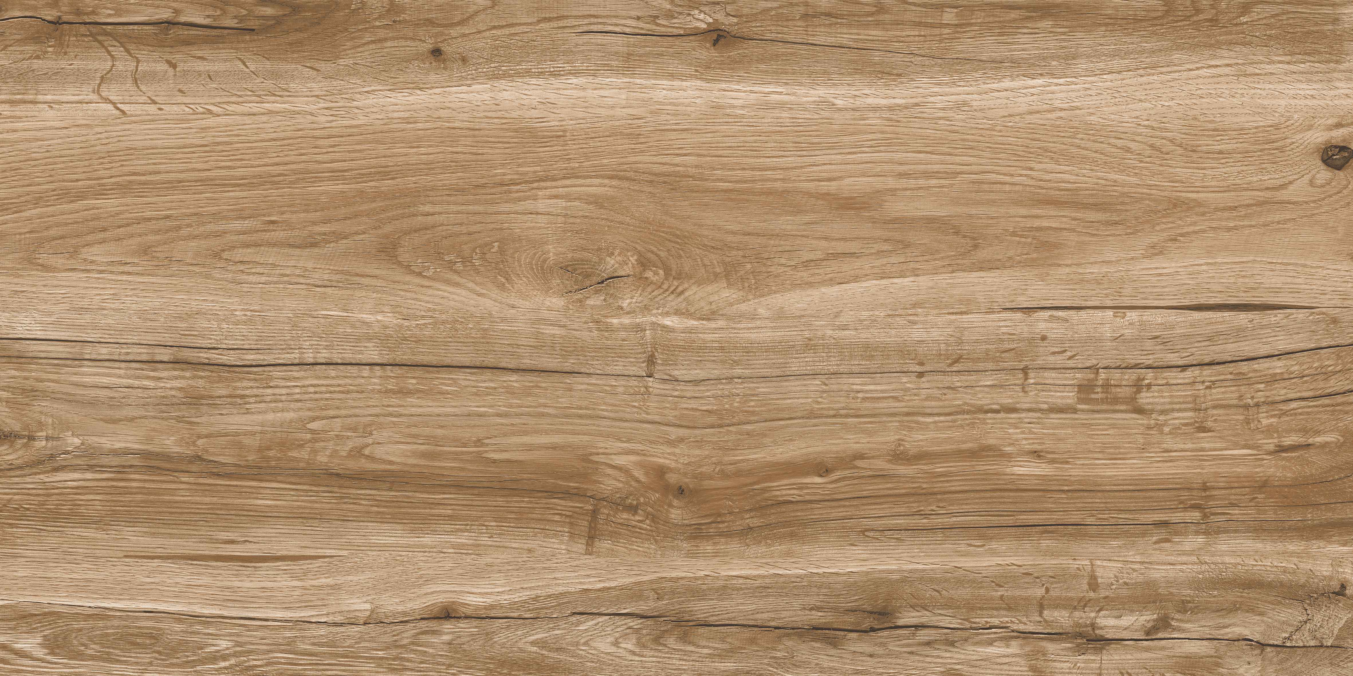 60120VN WONDER PINE