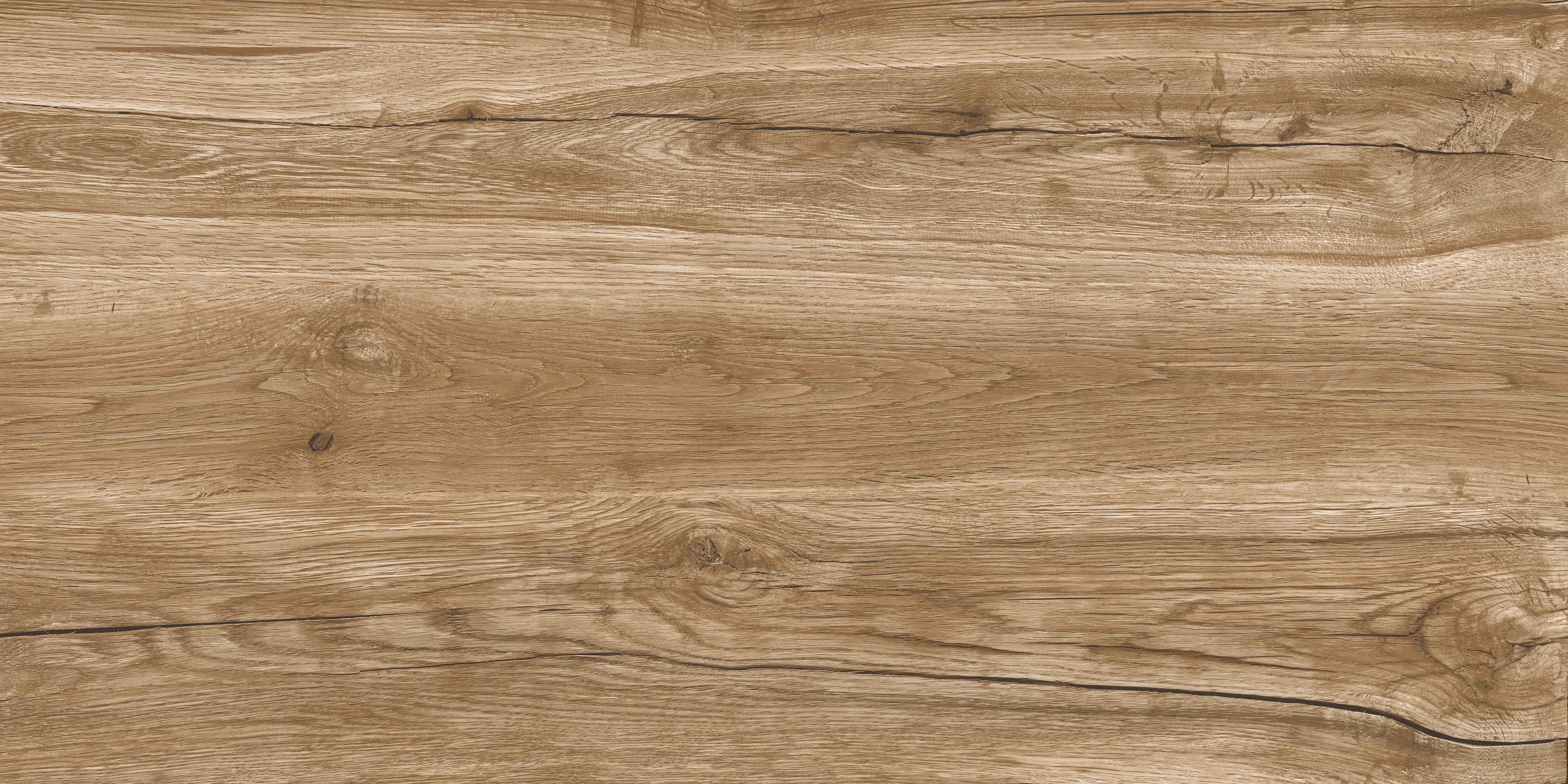 60120VN WONDER PINE