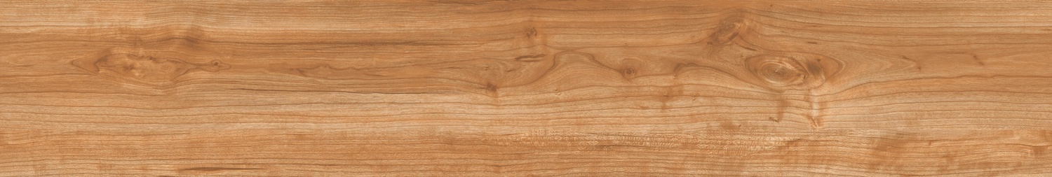 CHESTNUT AVELLANA - 6