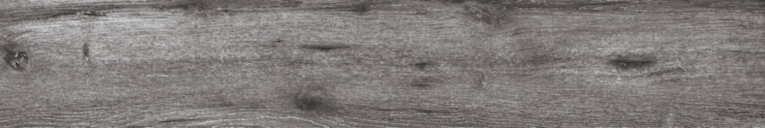 BURMA WALNUT TORTORA-4