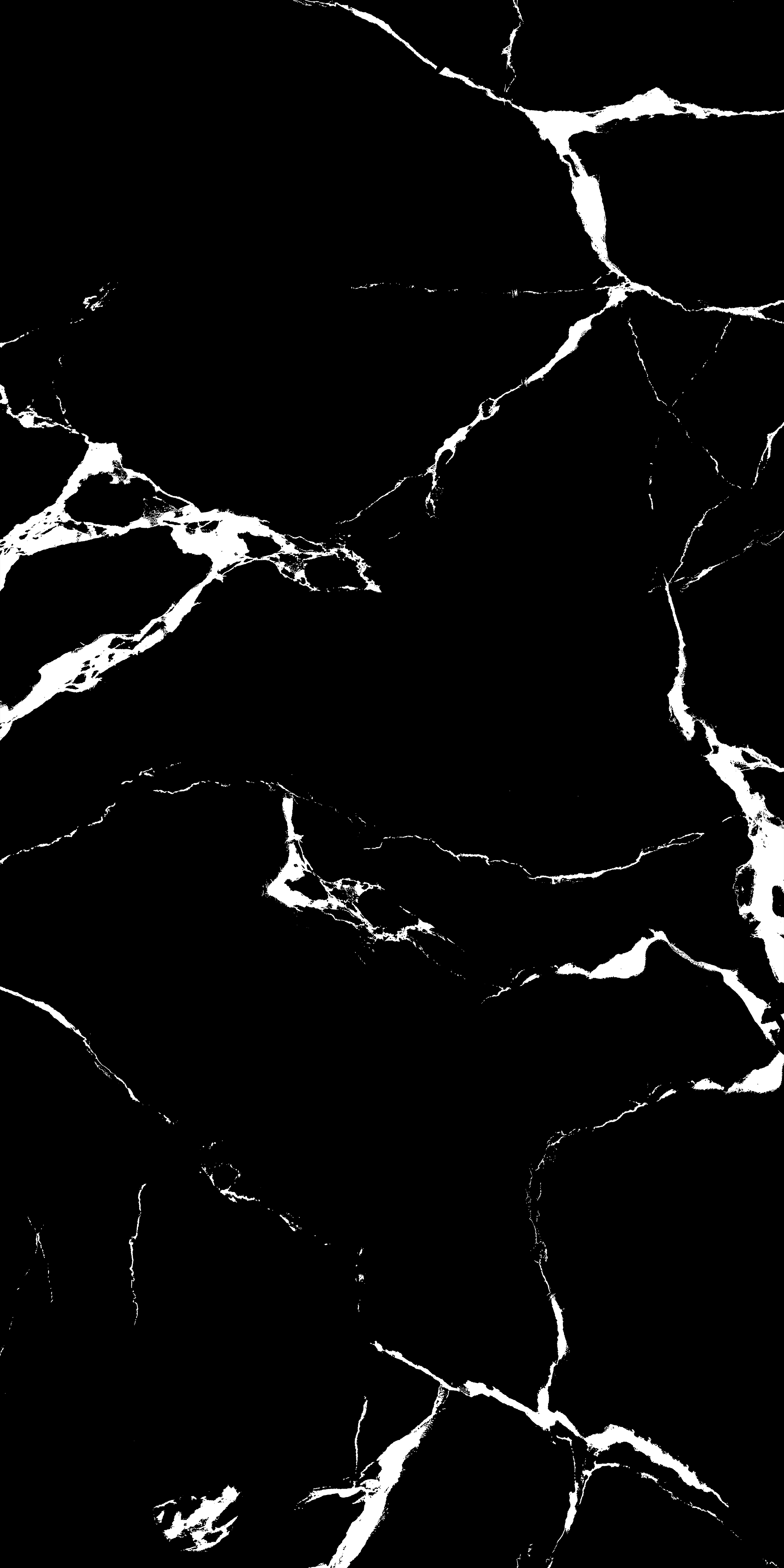 VIDA BLACK-4