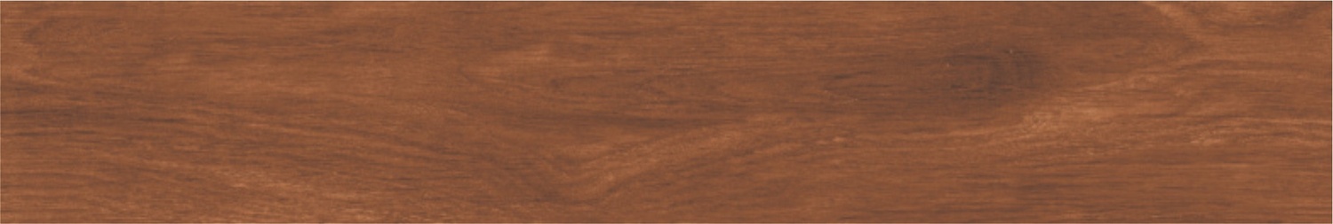 BURMA CANARY BROWN-3