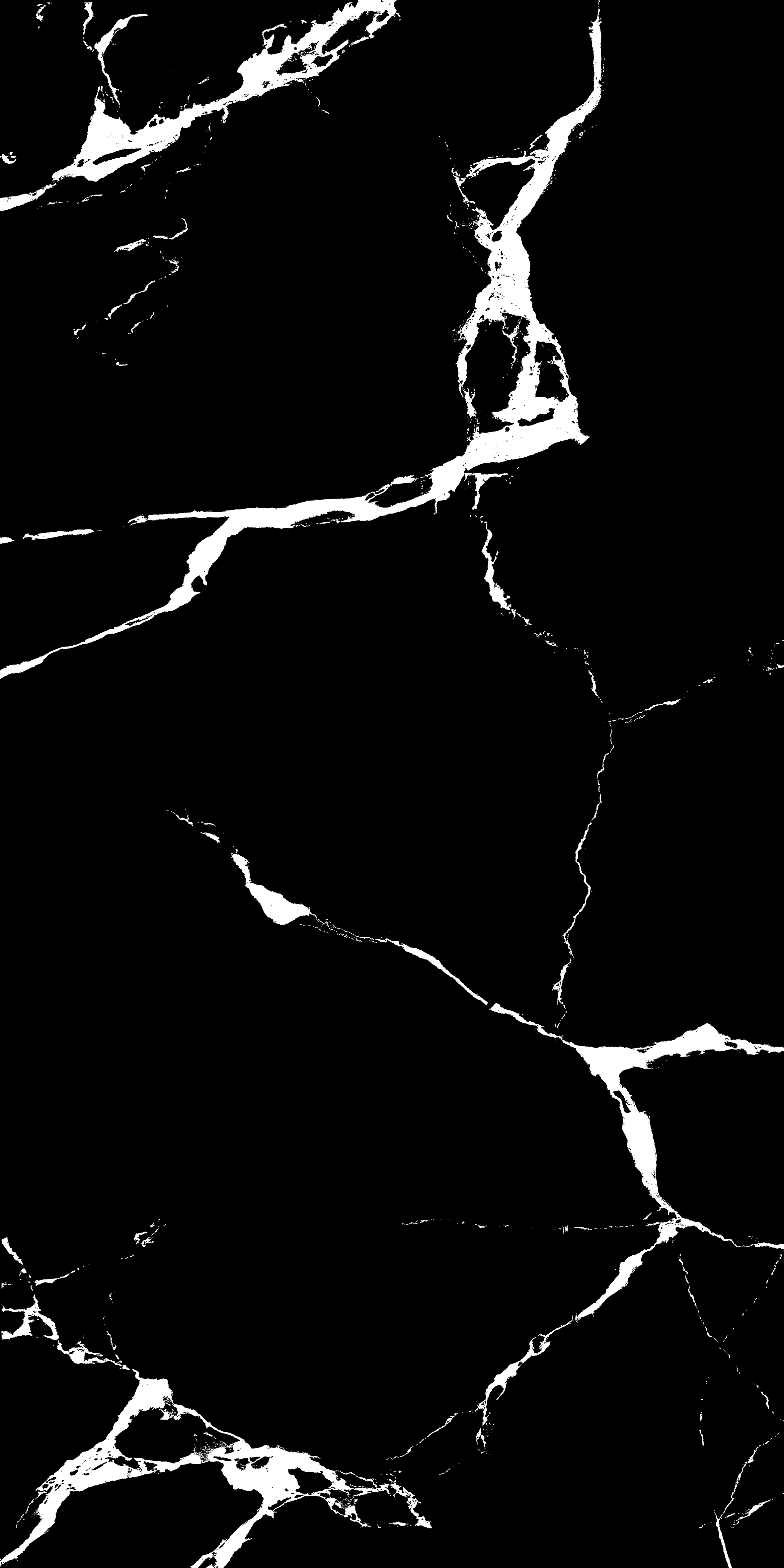 VIDA BLACK-2
