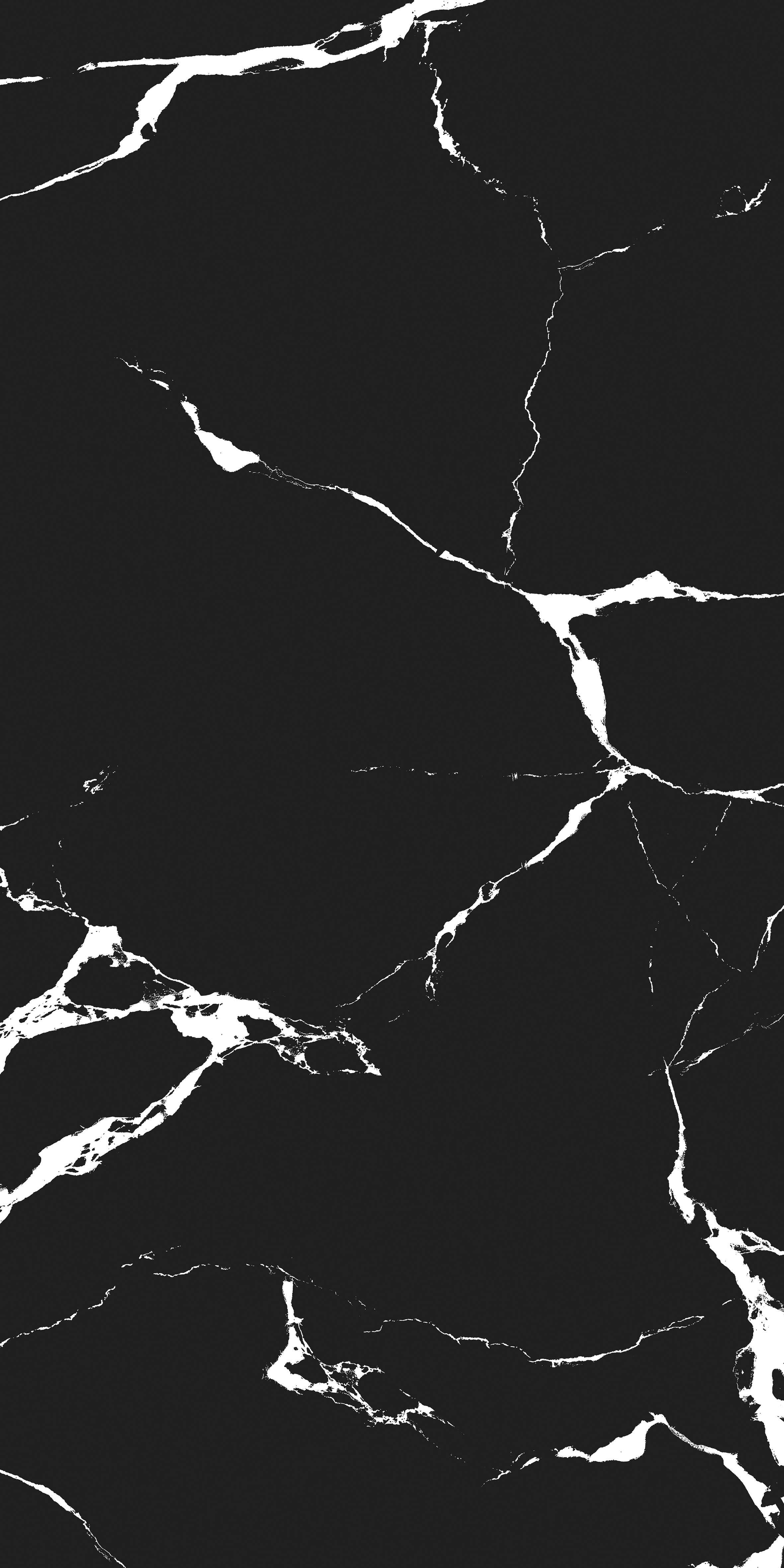 VIDA BLACK-5