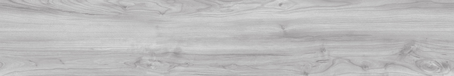  CHESTNUT BLAZA