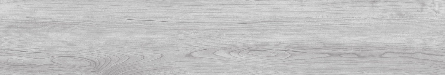  CHESTNUT BLAZA-2