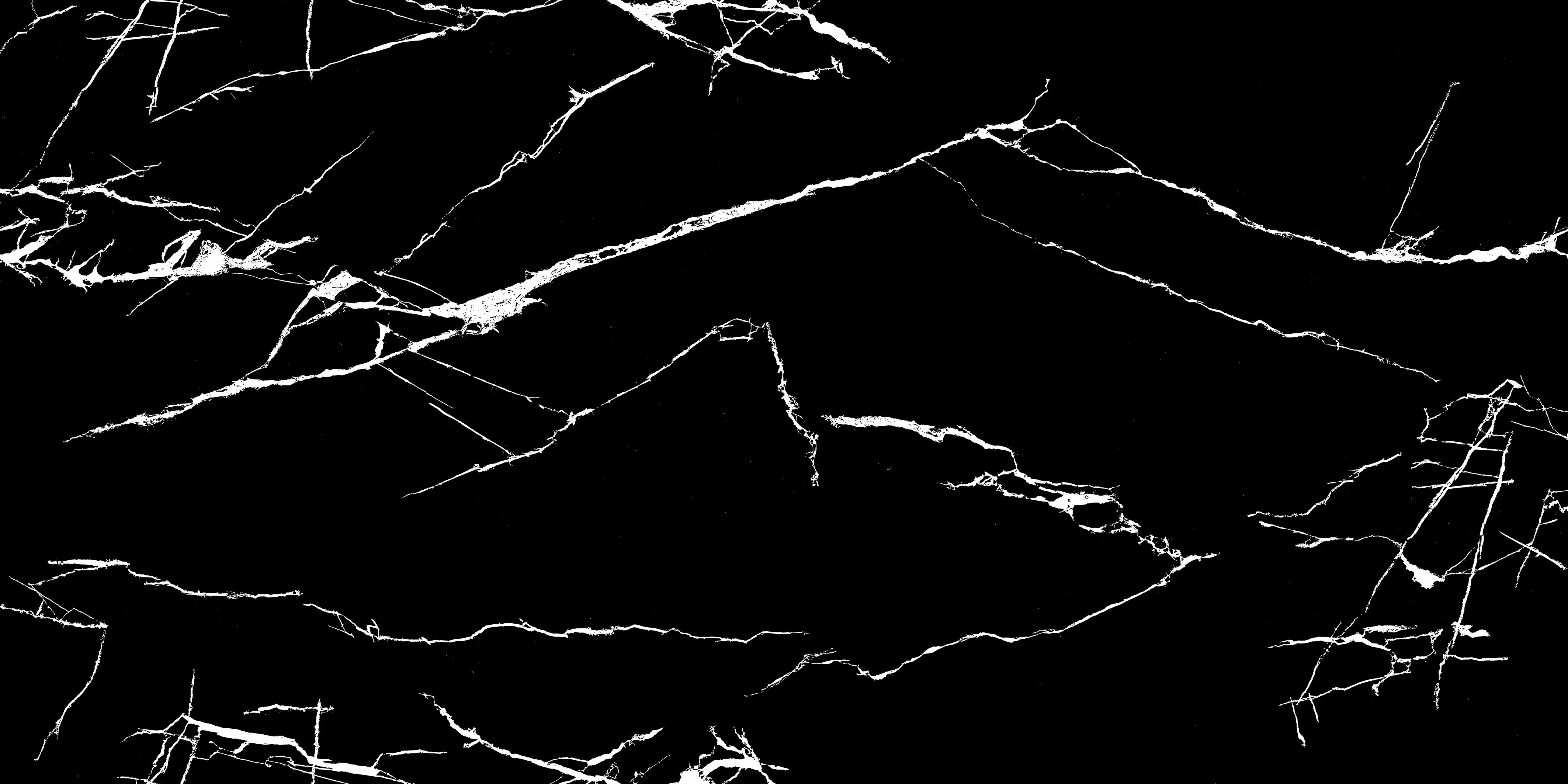 FRAGMETO LICHEN (E)-8