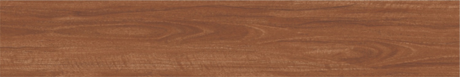 BURMA ALSTONIA MUSTARD-3