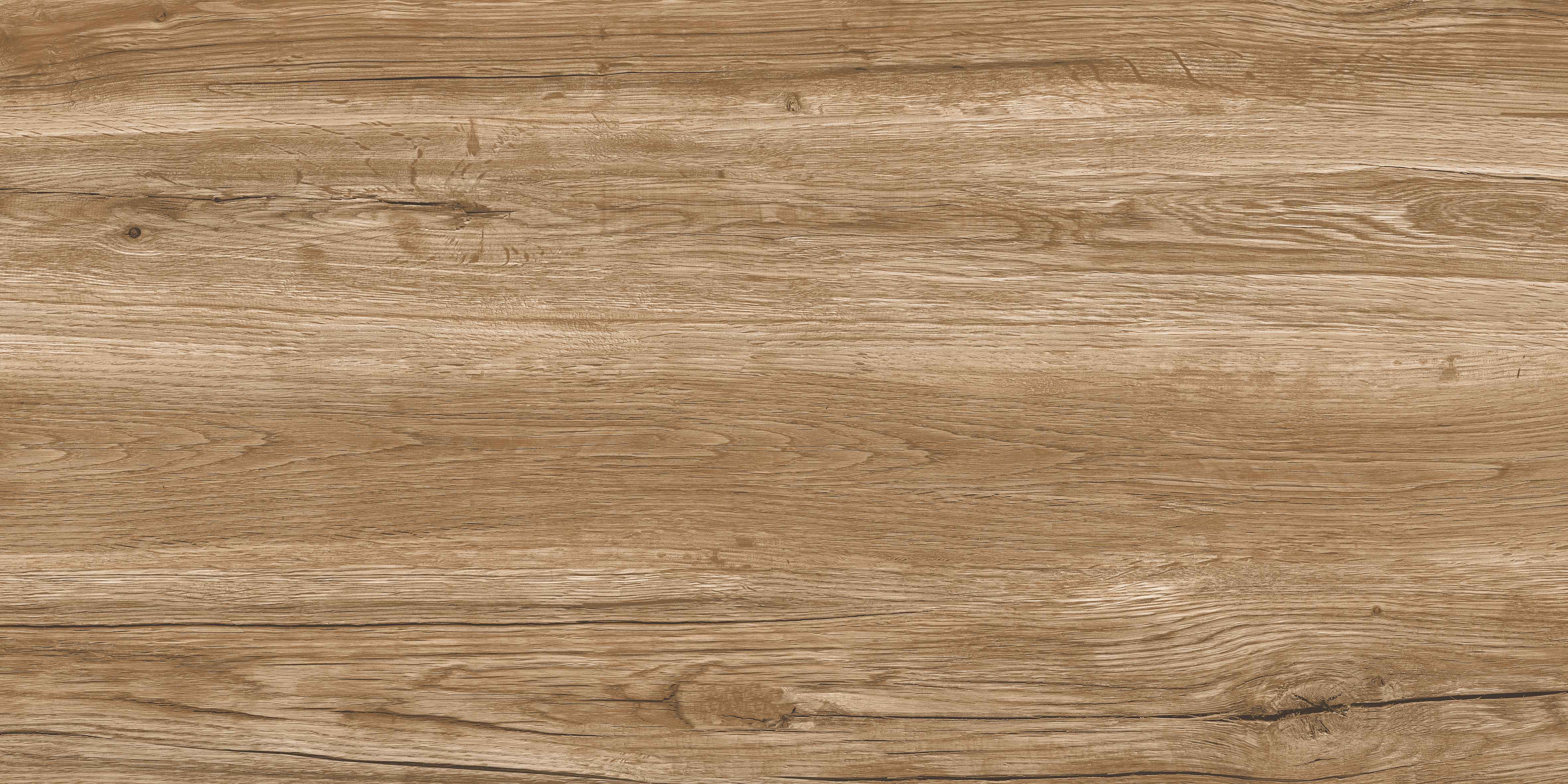 60120VN WONDER PINE