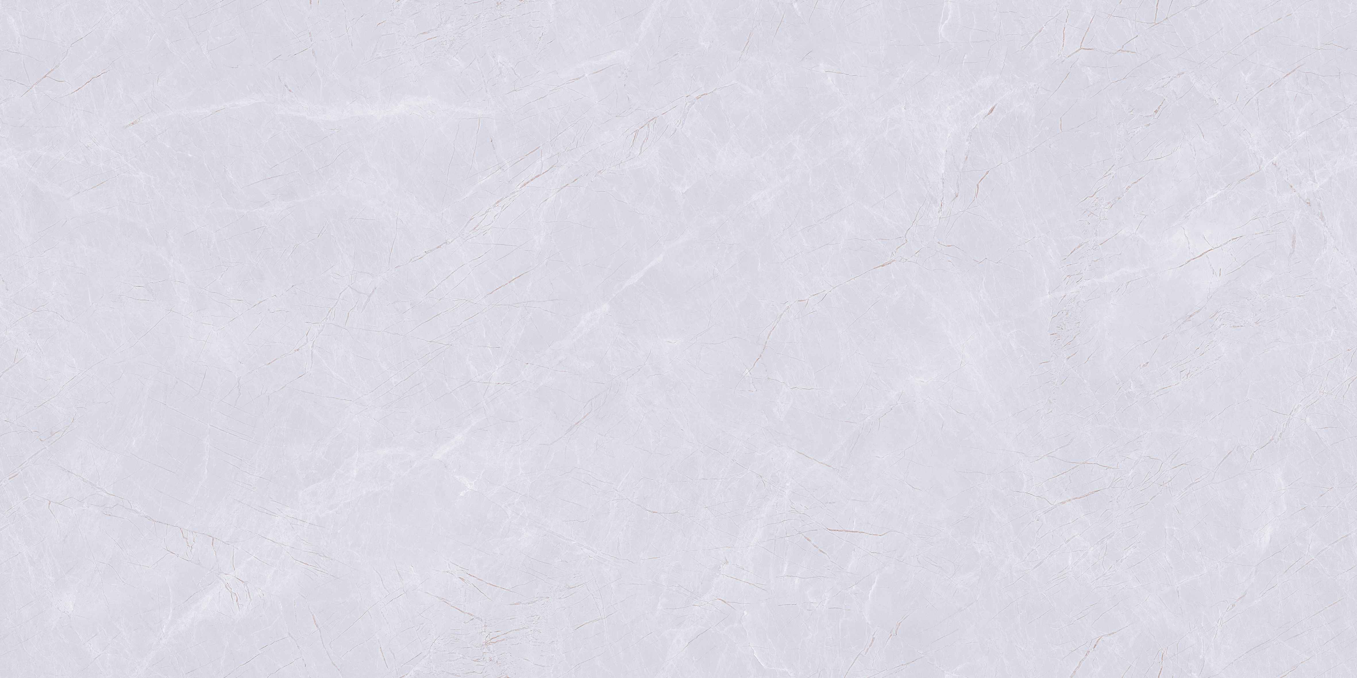 60120CL BOSY PURPLE (END)