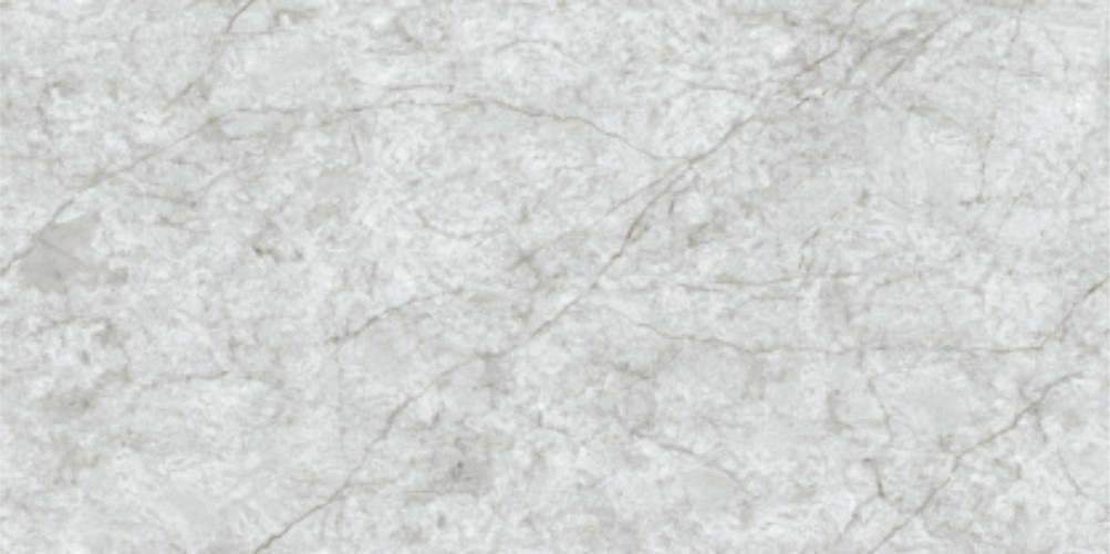 60120CL FLORITO GREY (END)