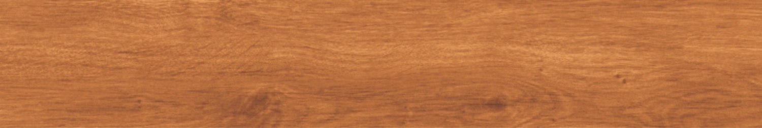 BURMA CANARY ORANGE-2