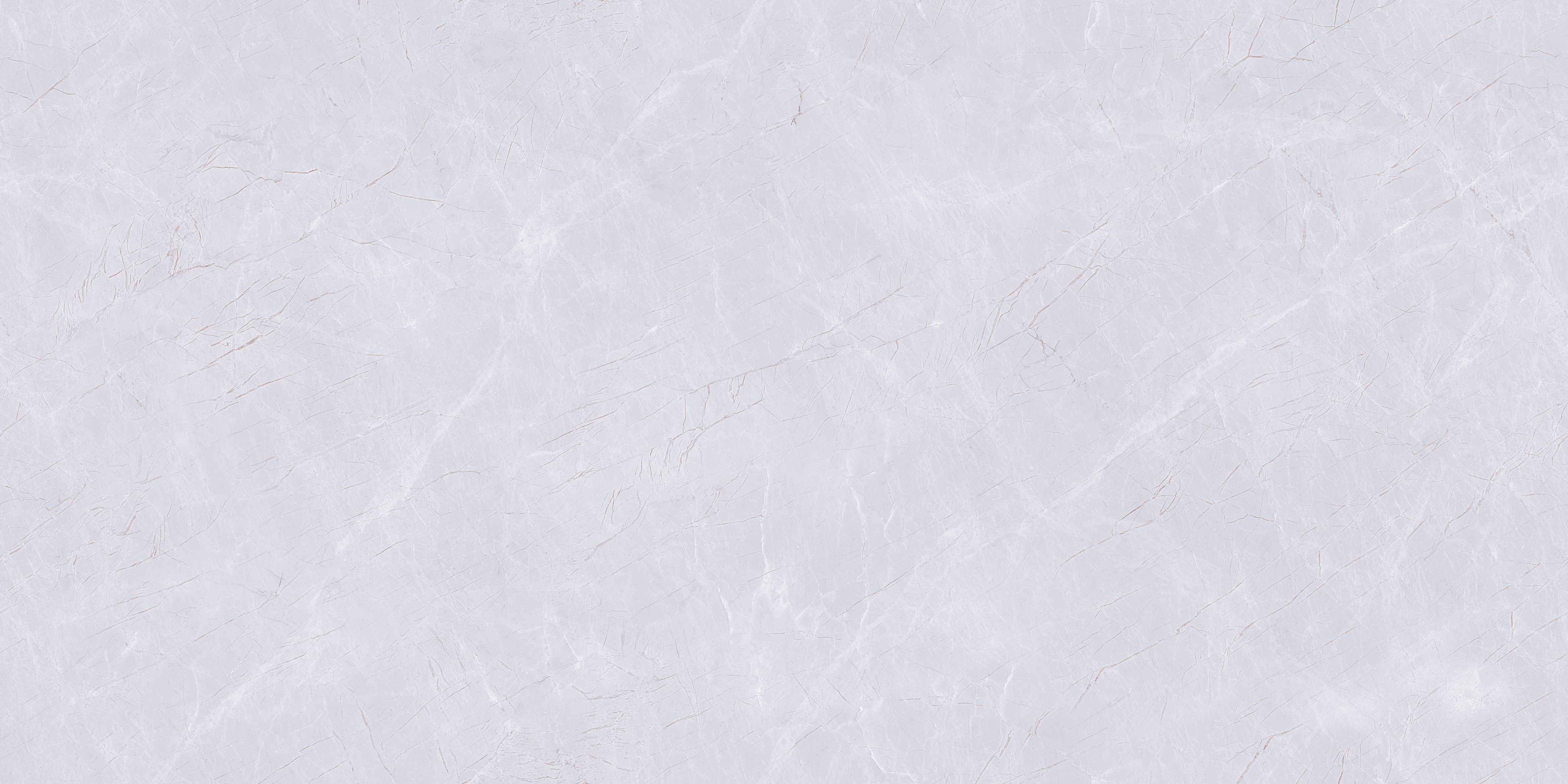 60120CL BOSY PURPLE (END)