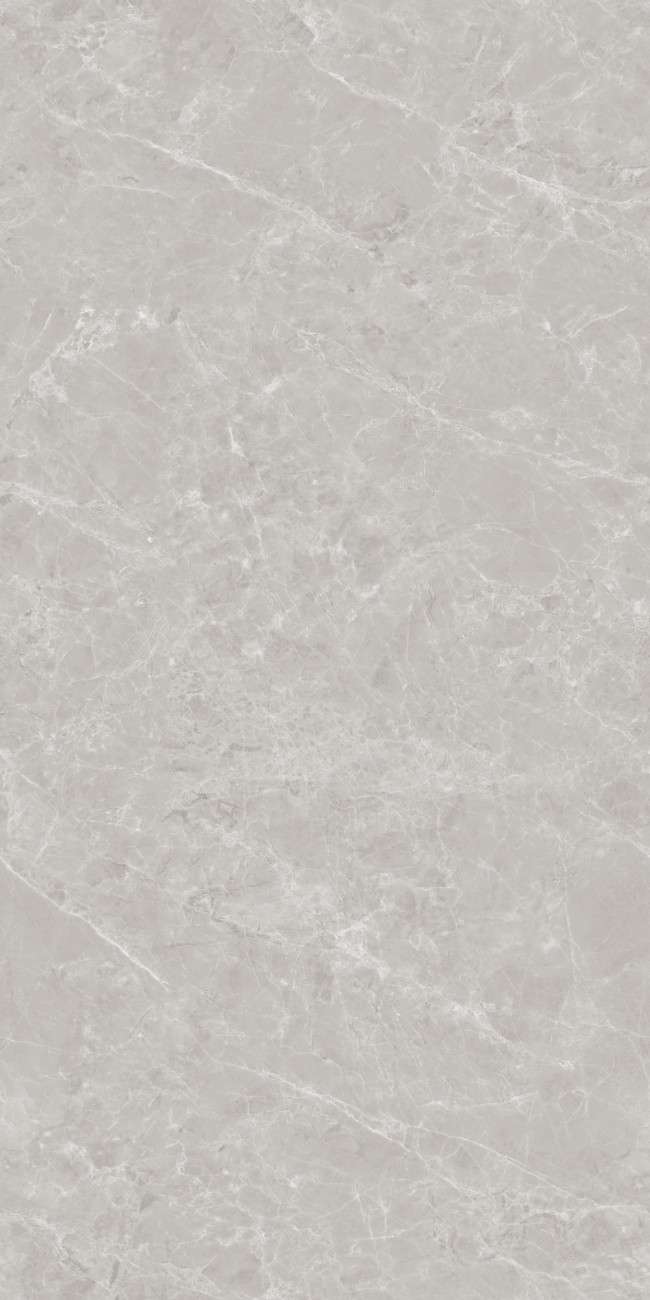 80160GL MILLY ICE-4