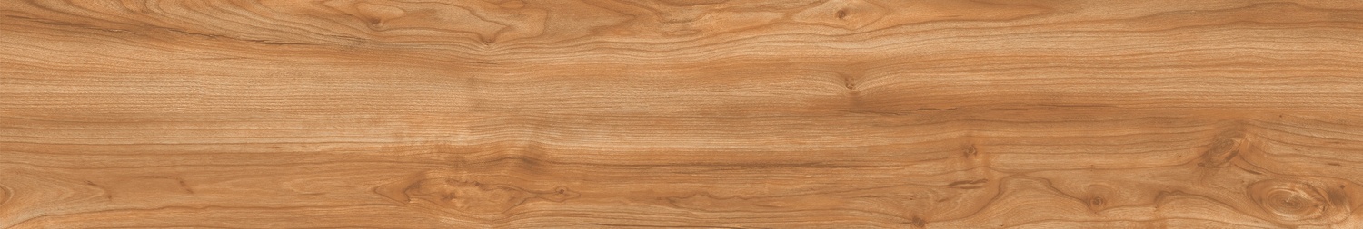 20120TC CHESTNUT AVELLANA