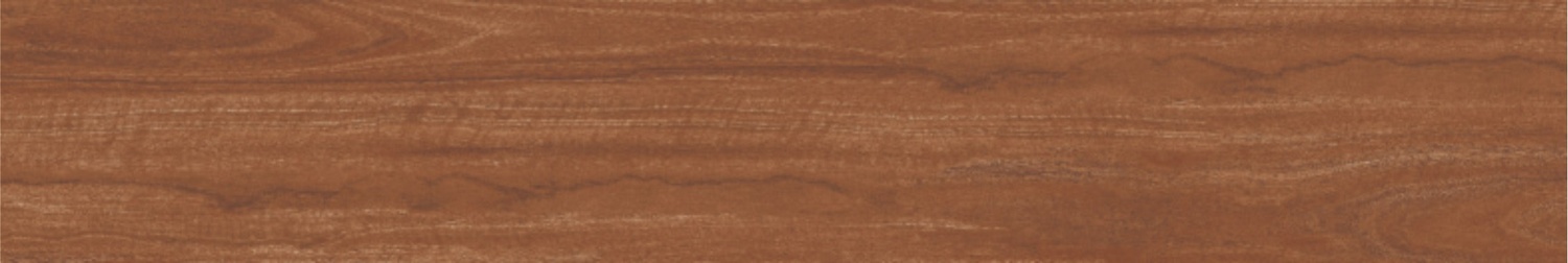 BURMA ALSTONIA MUSTARD-1
