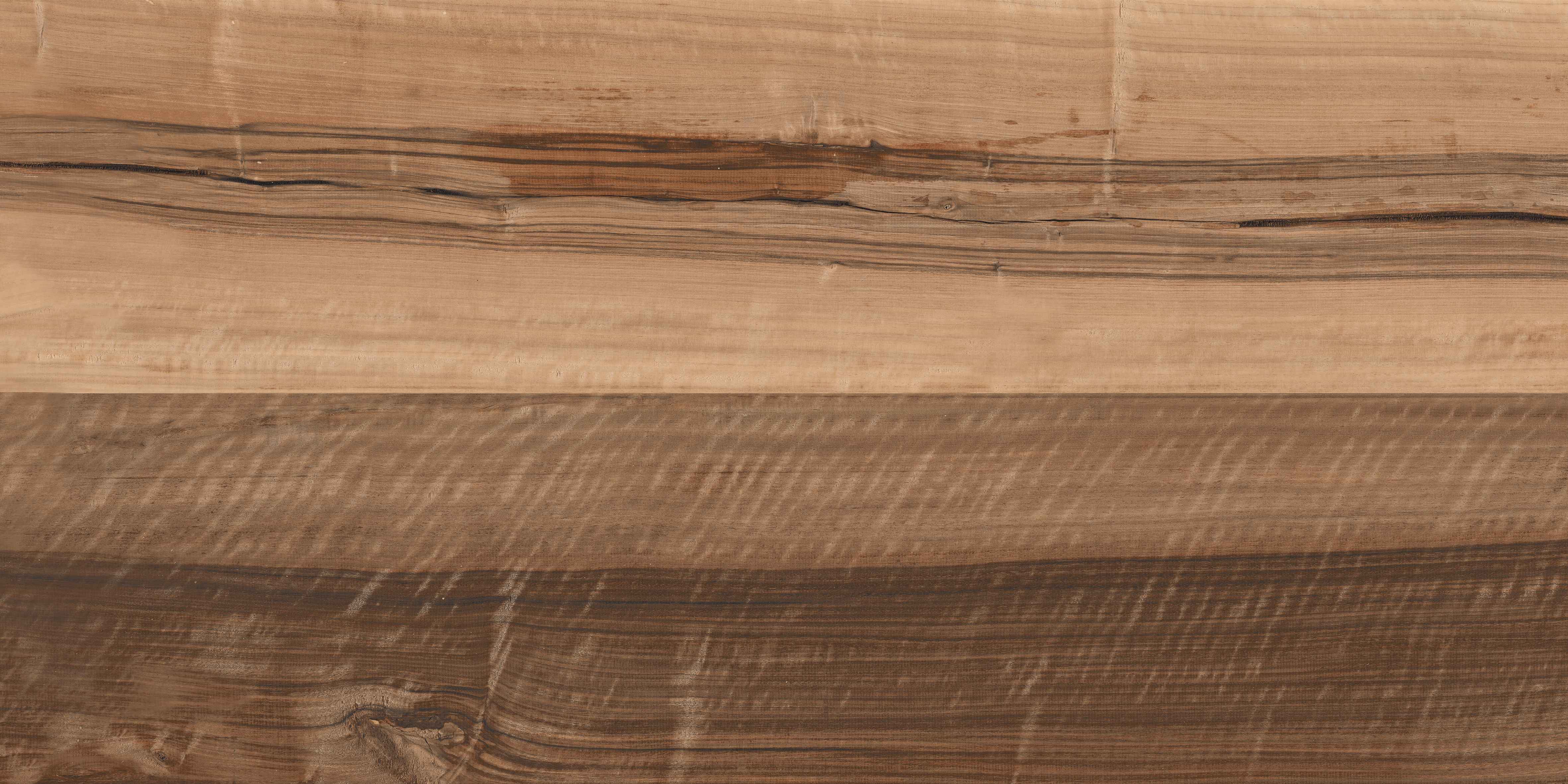 60120VN ANCIENT CEDAR