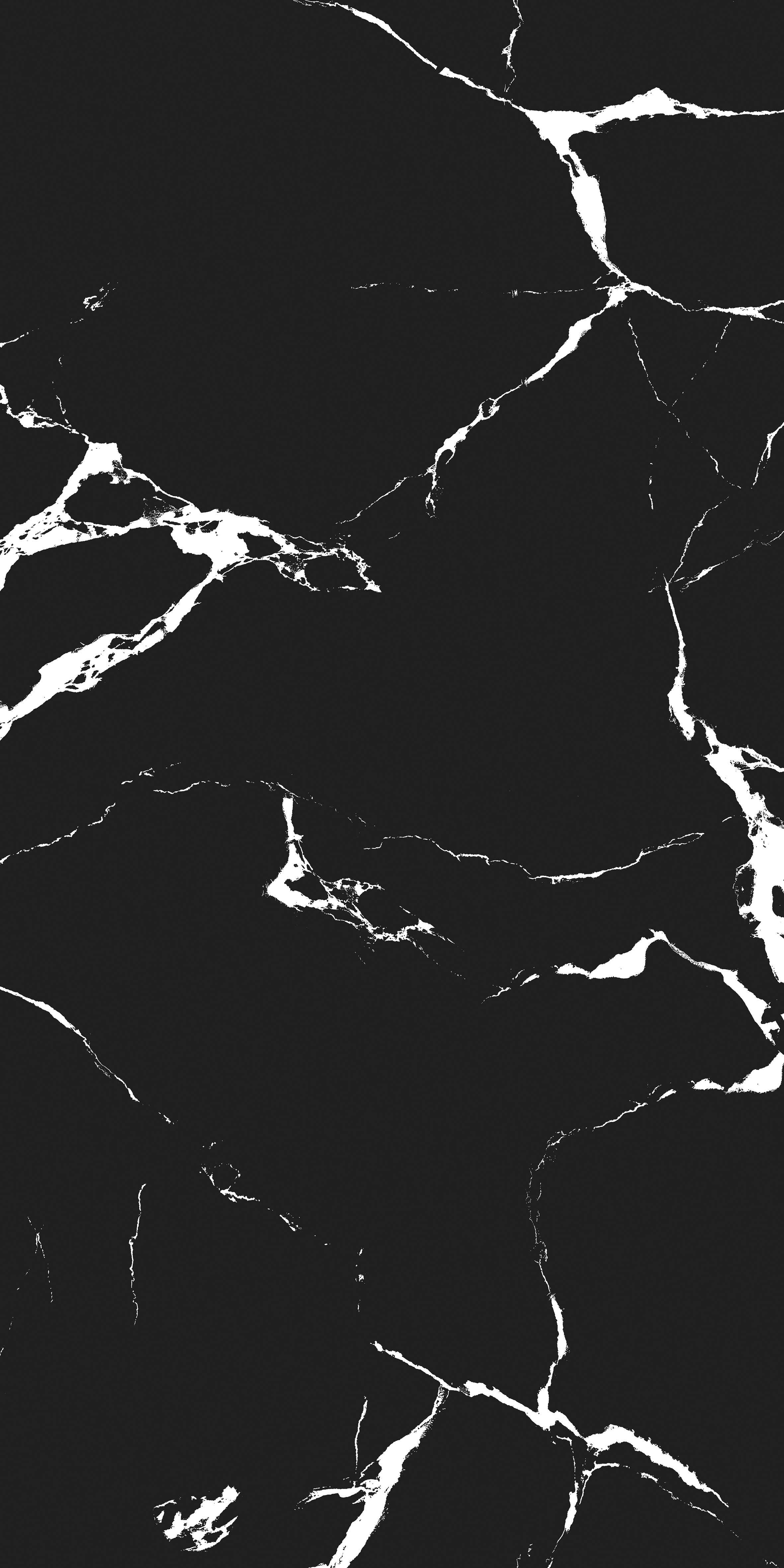 VIDA BLACK-3