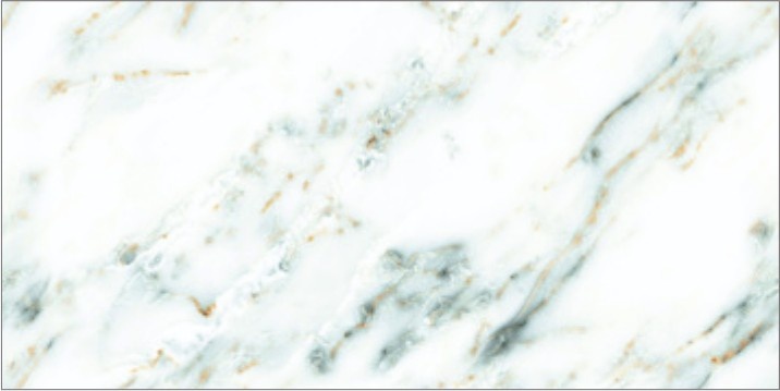 80160CR OCEAN GREEN-3