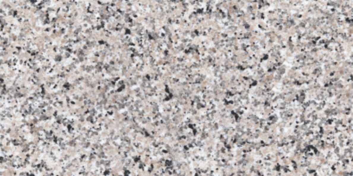 BOLTIC DOVE-2