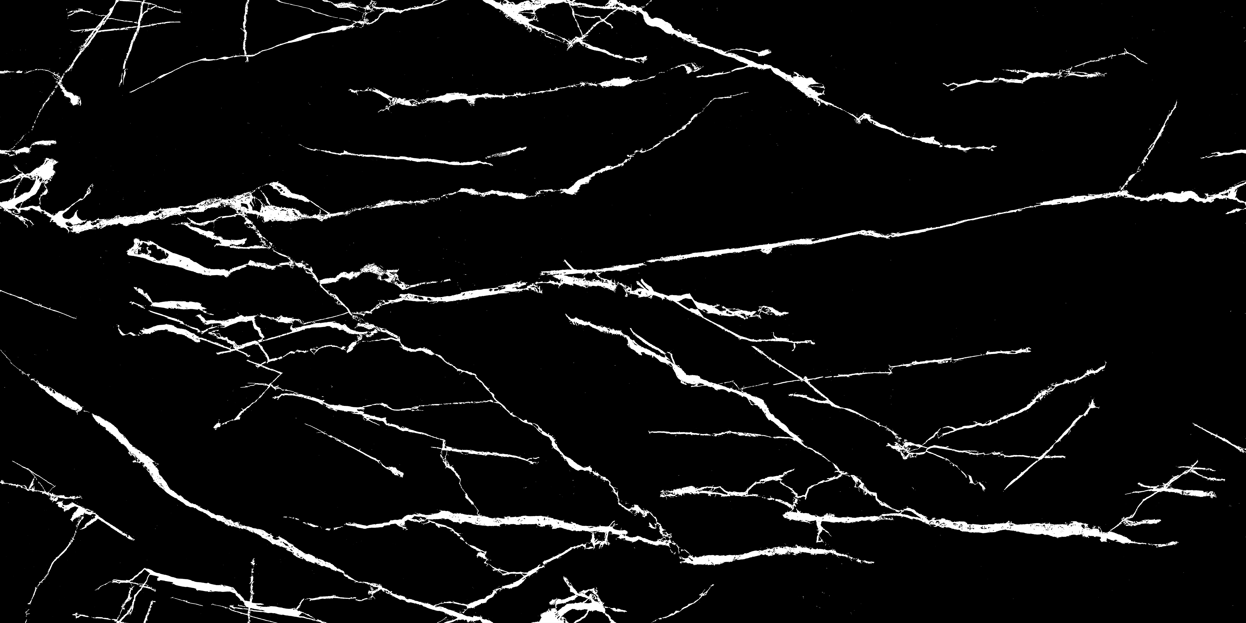 FRAGMETO LICHEN (E)-6