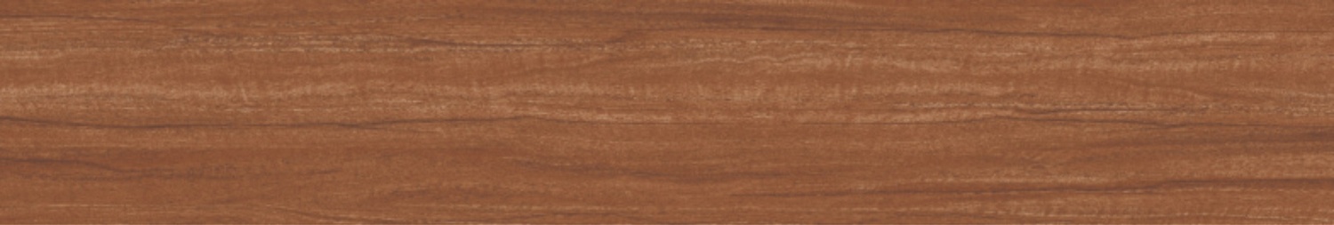 BURMA ALSTONIA MUSTARD-2