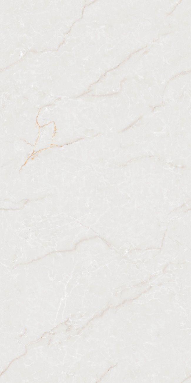 80160GL PORFIDO ICE-4