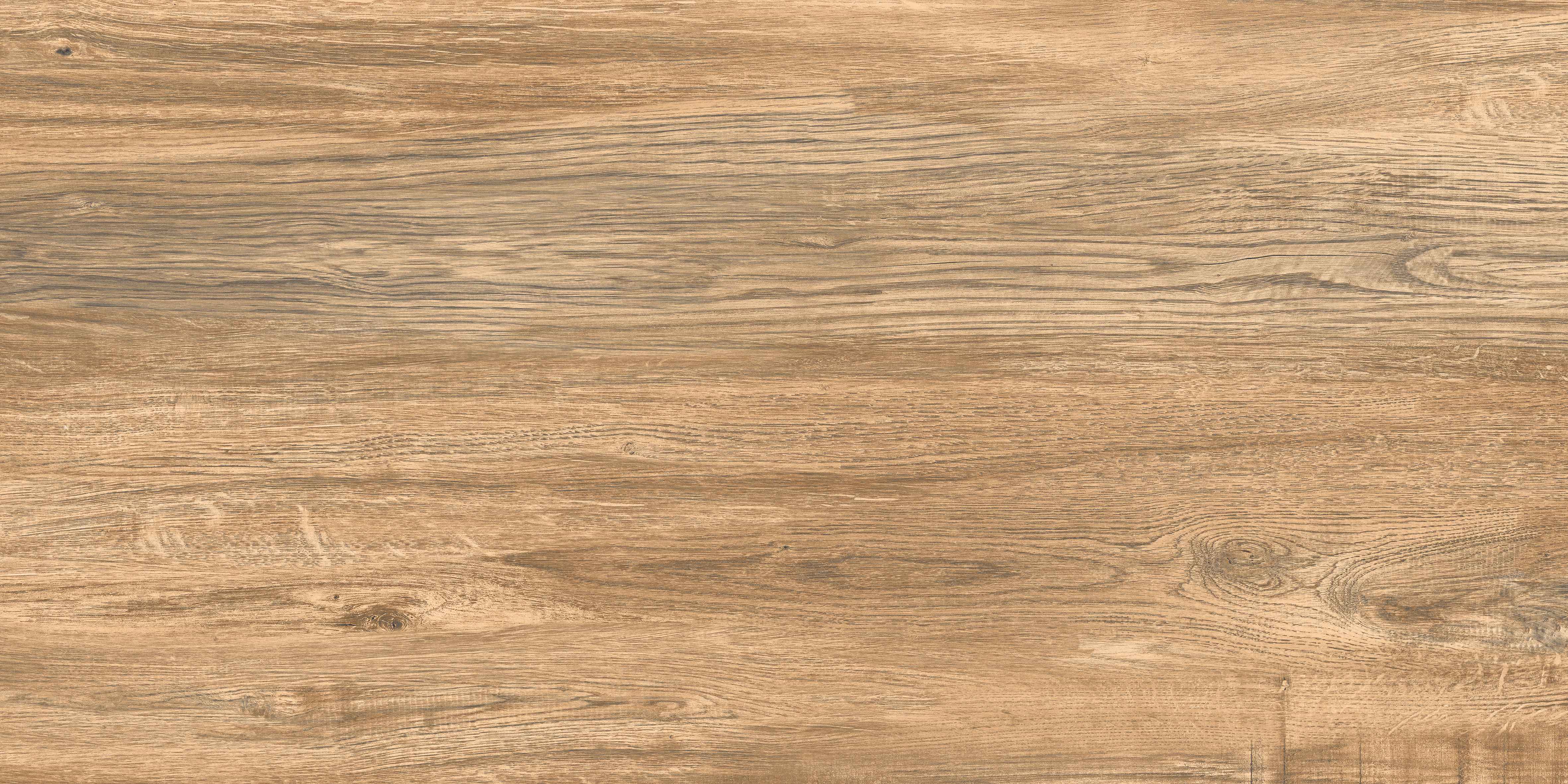 60120VN JACOBEAN BAMBOO