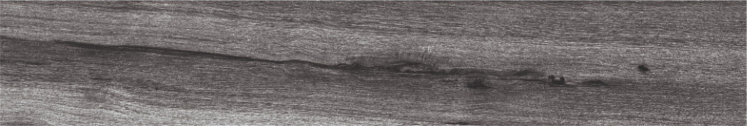 BURMA WALNUT TORTORA-3